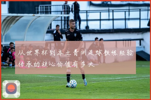从世界杯到本土青训足球教练经验传承的核心价值有多大