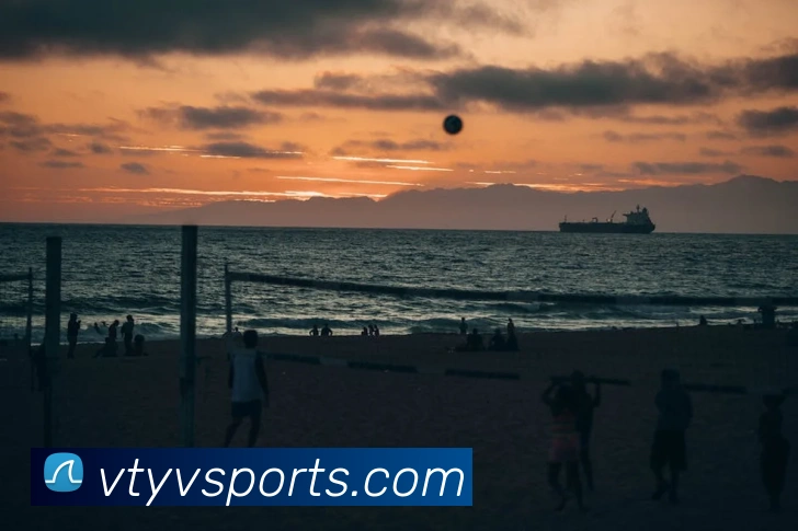 V体育China官网服务体系